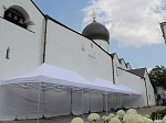 IMG_8191.JPG